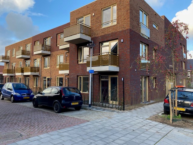 Spreeuwenstraat Doornenbal
