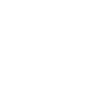 CSV Import