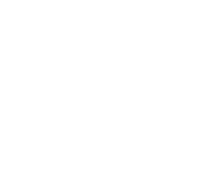 Document Workflow