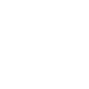 QR Version Checker