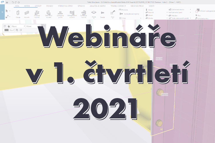 Série českých webinářů (Q1 2021)